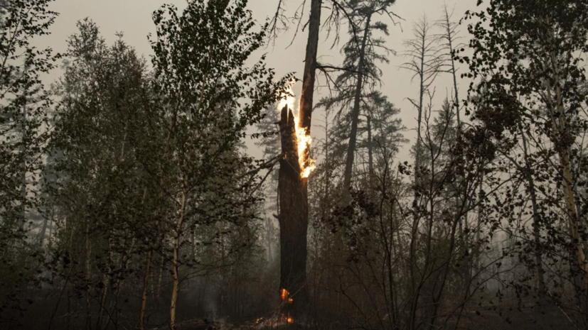 В Свердловской области до конца недели сохранится жаркая погода