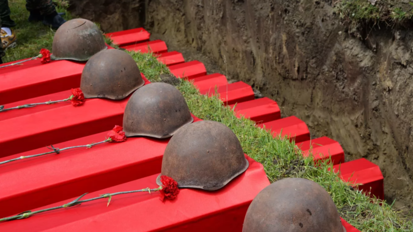 В Подмосковье в 2022 году обнаружили останки 219 советских солдат