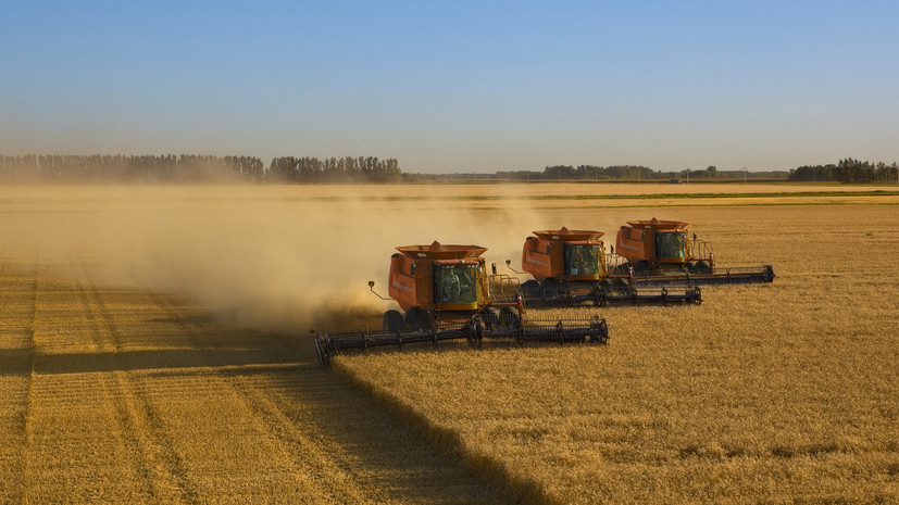 Минсельхоз России сообщил, что аграрии к 14 июля собрали почти 20 млн тонн зерна