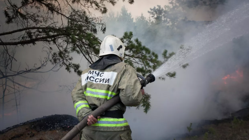 На Ставрополье прокомментировали ситуацию с природными пожарами