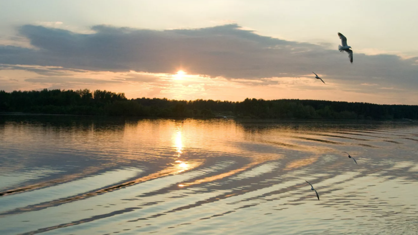 На оздоровление Волги в Татарстане потратят 18 млрд рублей