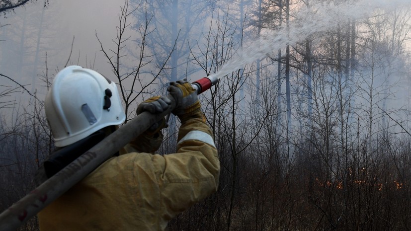 Число лесных пожаров на Ямале за сутки выросло в пять раз