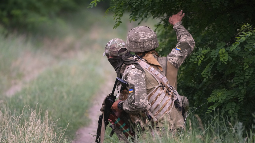 SVT: шведский офицер погиб в ходе боевых действий в Донбассе