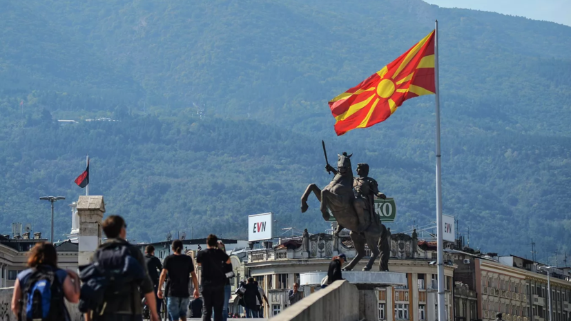 Власти Северной Македонии запретили экспорт пшеницы, муки, дров и гранул для отопления