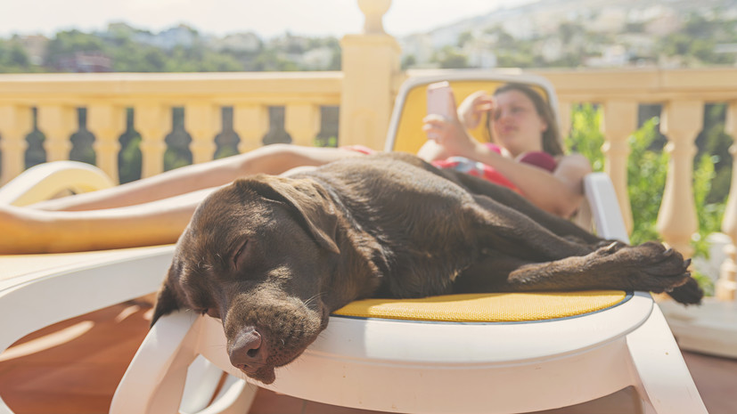 Врач Шустова рассказала, кому противопоказано загорать