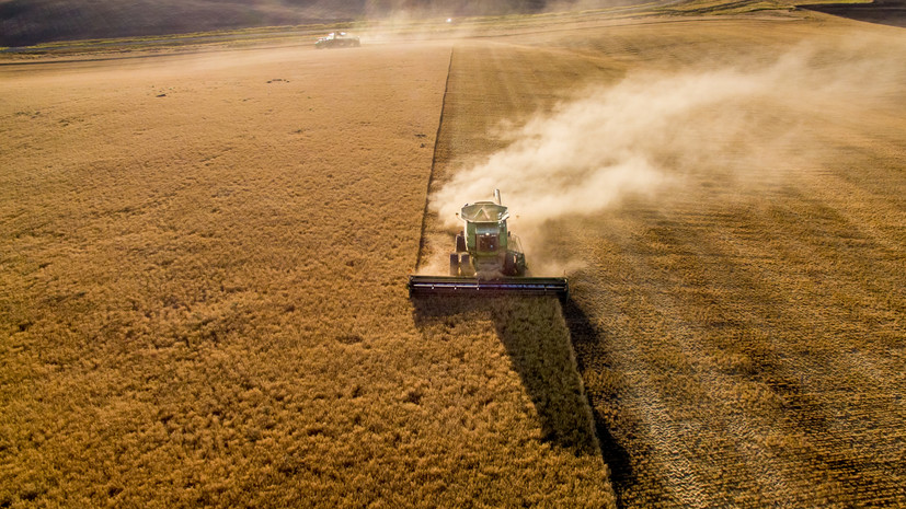 В Крыму рассказали о ходе кампании по уборке зерновых культур
