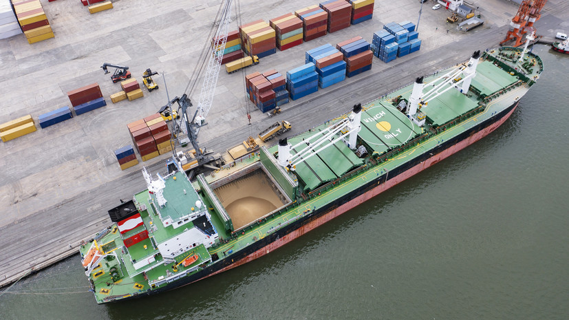 В Анкаре допустили отправку первого судна с зерном в Чёрном море в ближайшие недели