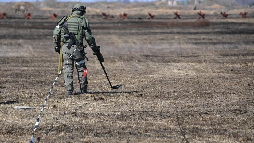 В ЛНР заявили о необходимости разминировать территорию Углегорской ТЭС