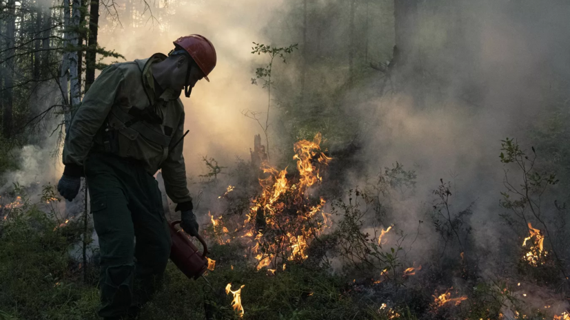 В Пуровском районе ЯНАО вспыхнули новые лесные пожары