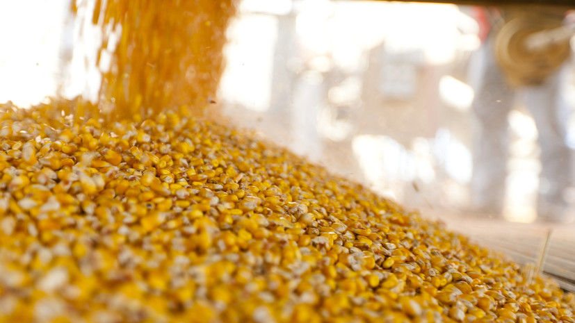 В ООН заявили, что продуктовая сделка позволит вывезти с Украины 23 млн тонн зерна