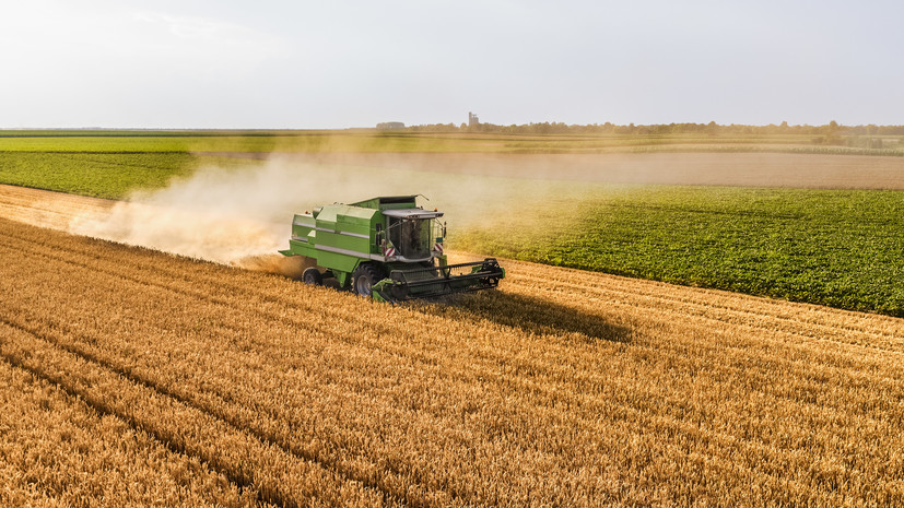Минсельхоз России прогнозирует урожай зерна в стране в 2022 году в 130 млн тонн