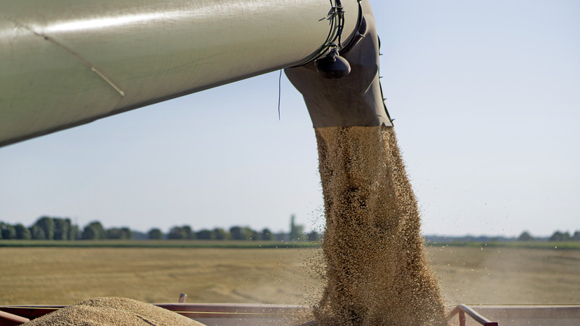 В Запорожской области заявили, что ВСУ ночью нанесли удар по зерновым складам