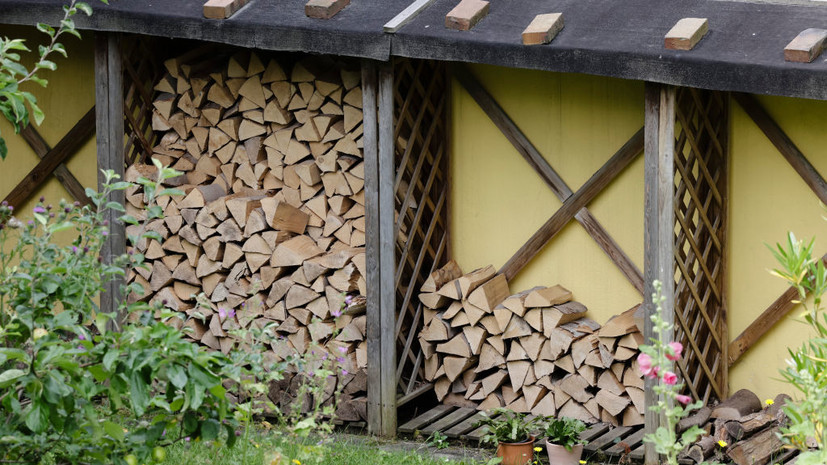 Volkskrant: жители Нидерландов запасаются дровами, опасаясь нехватки газа зимой