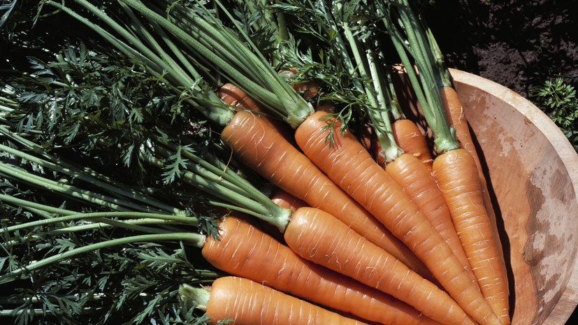 Диетолог Арзуманян усомнилась в пользе моркови и черники для зрения