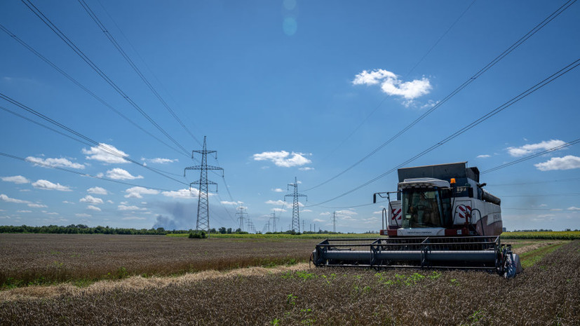 Продовольственная программа ООН планирует закупить 30 тысяч тонн пшеницы