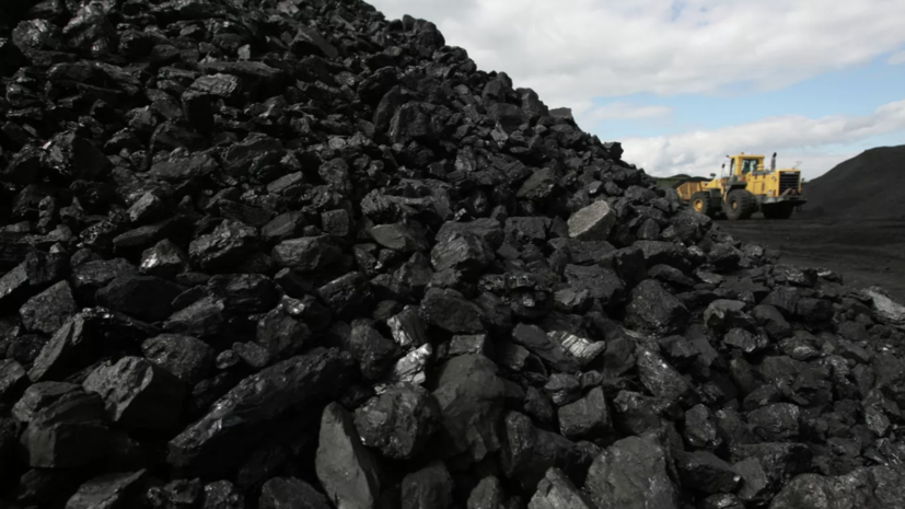 Специалист по энергетике Фролов высказался о поставках угля в ЕС