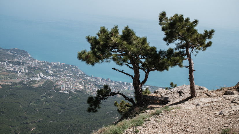 В Крыму продлили запрет на посещение лесов