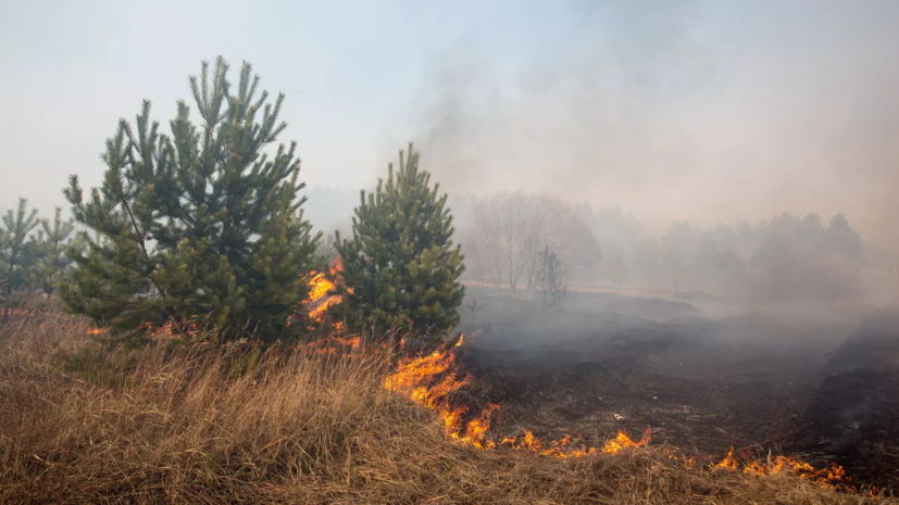 Жителей Прикамья предупредили о высокой пожароопасности