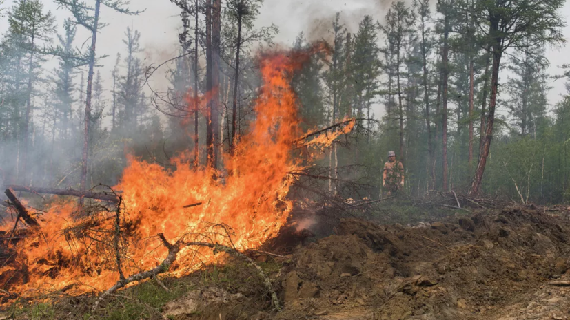 В ряде районов Удмуртии установили четвёртый класс пожарной опасности лесов
