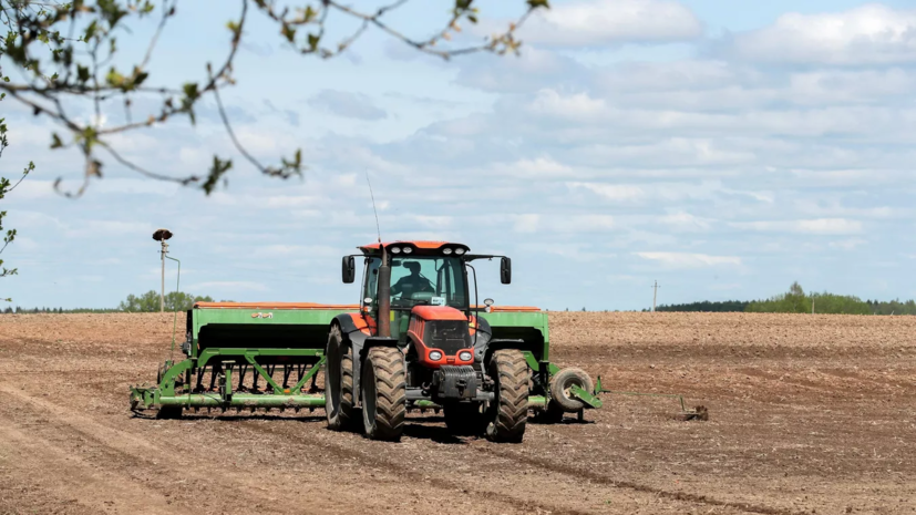 Воробьёв заявил, что программу «Подмосковные 10 гектаров» расширят