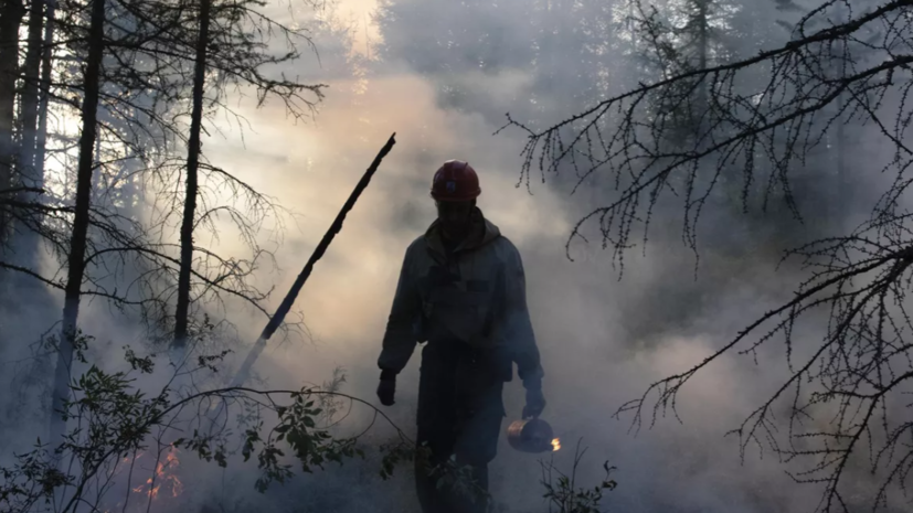 МЧС предупредило о высокой пожароопасности лесов и торфяников в Удмуртии