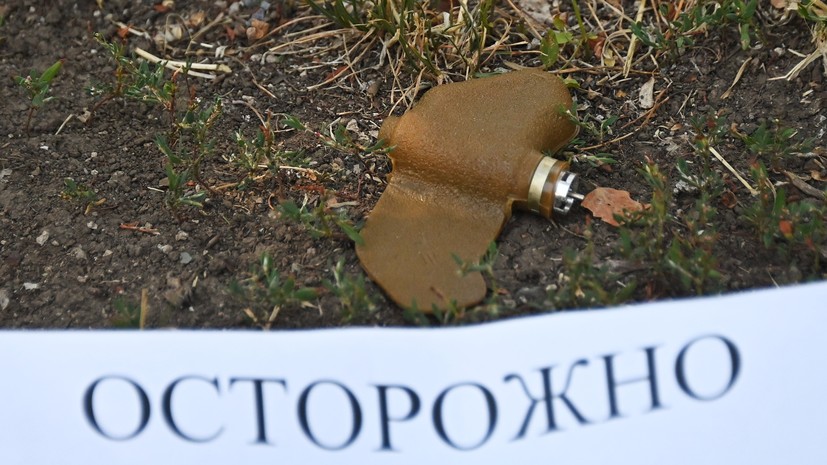 В ДНР сообщили о 29 случаях подрыва мирных жителей на минах «Лепесток»