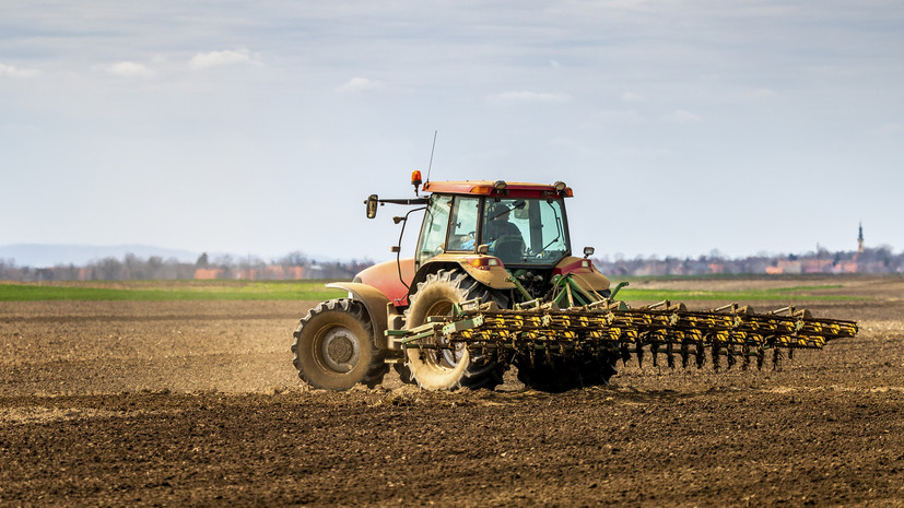 СВР: Польша организовала скупку украинской сельхозпродукции по бросовым ценам