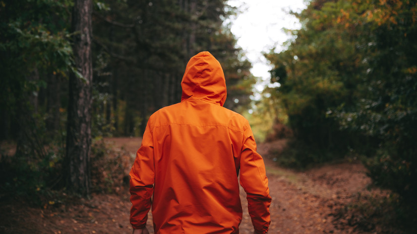 В Самарской области ввели запрет на посещение лесов