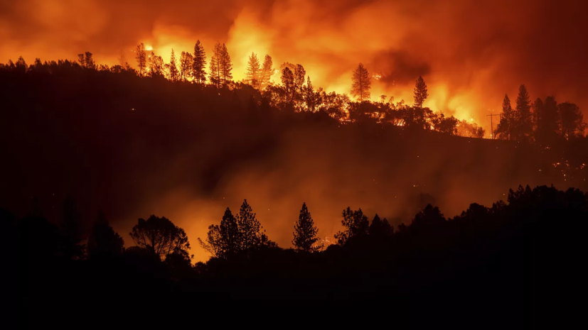 Площадь лесных пожаров в Югре достигла 84 тысяч гектаров