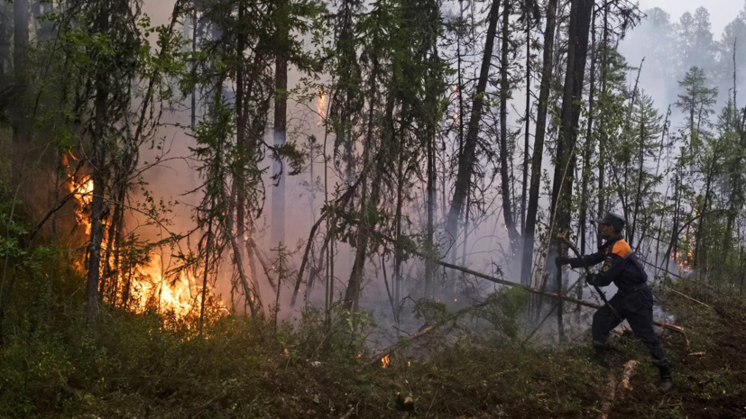 В ХМАО на борьбу с лесными пожарами отправились 25 томских десантников