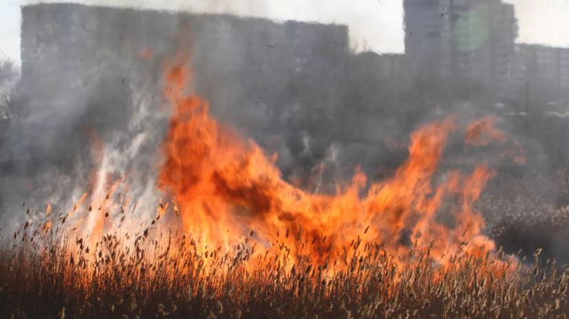В Севастополе высокий класс пожароопасности будет действовать с 10 августа