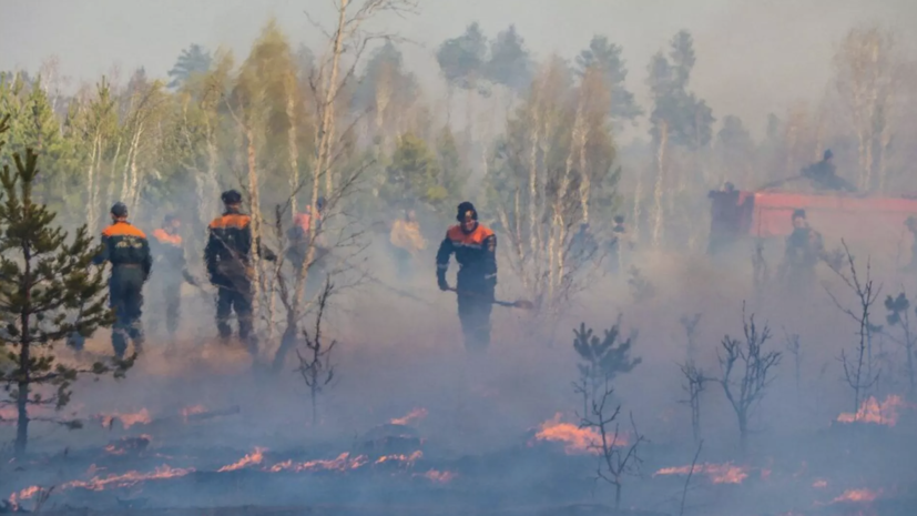 В Тверской области ликвидировали 14 лесных пожаров с начала пожароопасного сезона