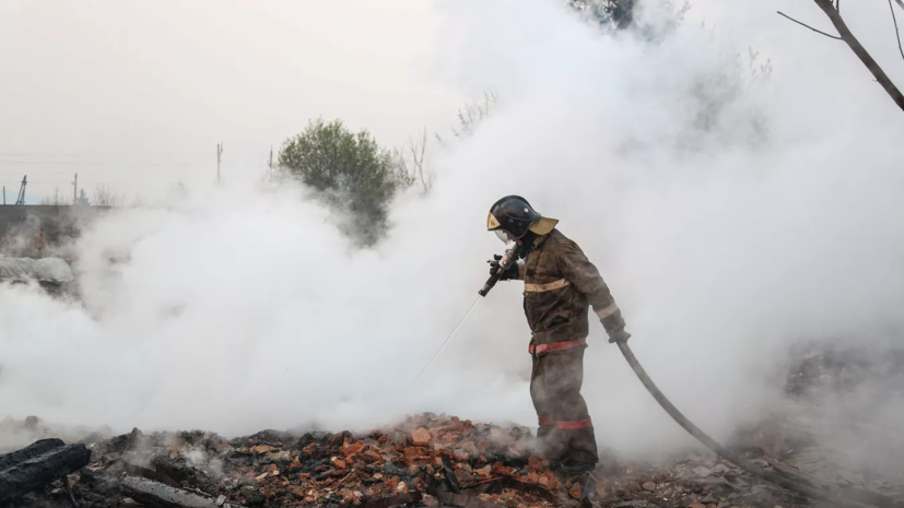 На Ямале рассказали о ситуации с лесными пожарами