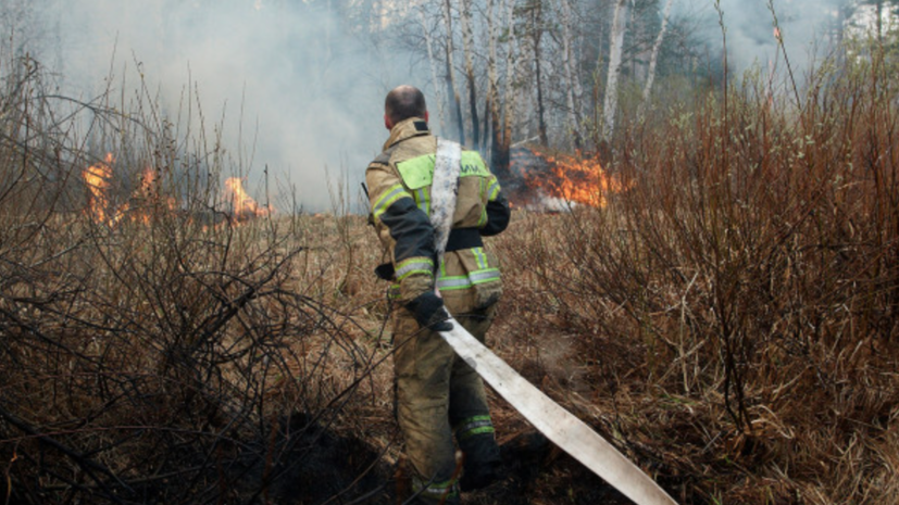 В Подмосковье усилят меры пожарной безопасности лесов 11—21 августа