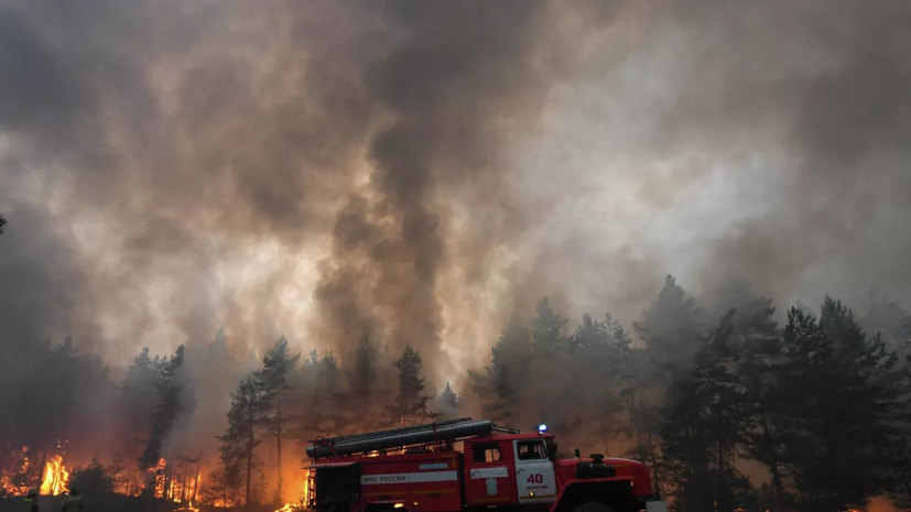 Спасатели из Якутии и Красноярского края прибыли на Ямал для помощи в тушении лесных пожаров
