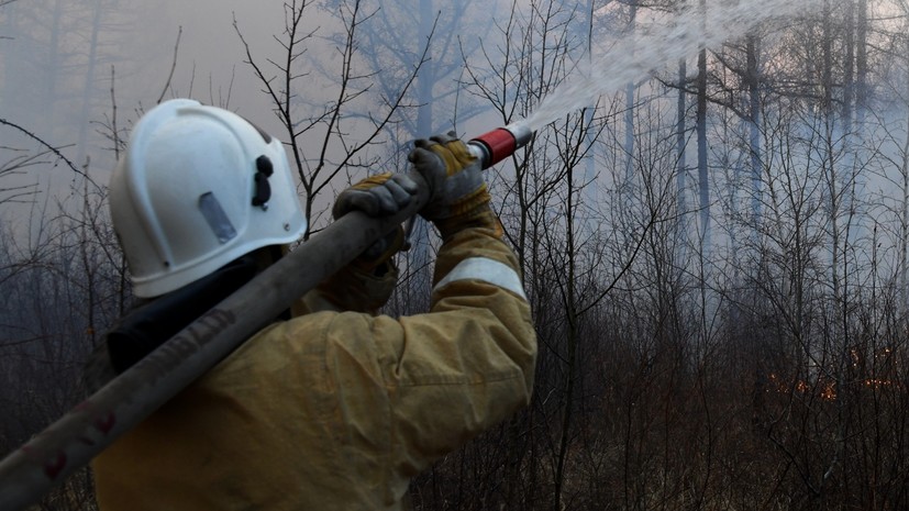 За сутки в Красноярском крае ликвидировали семь лесных пожаров