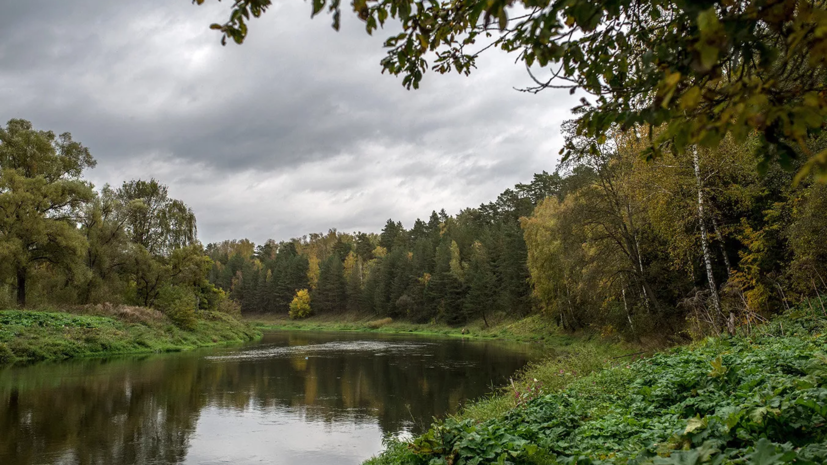 В ряде районов Удмуртии запретили посещать леса с 16 августа