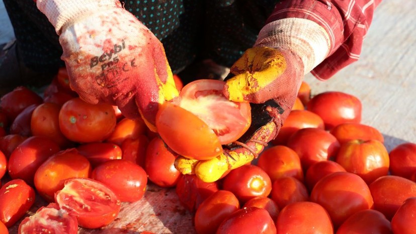 Эксперт по питанию Грэйс посоветовала людям с проблемами ЖКТ отказаться от помидоров