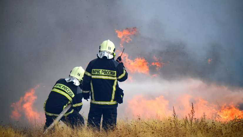 ТАСС: первоначальный ущерб от пожара в Ростовской области составил более 19 млн рублей