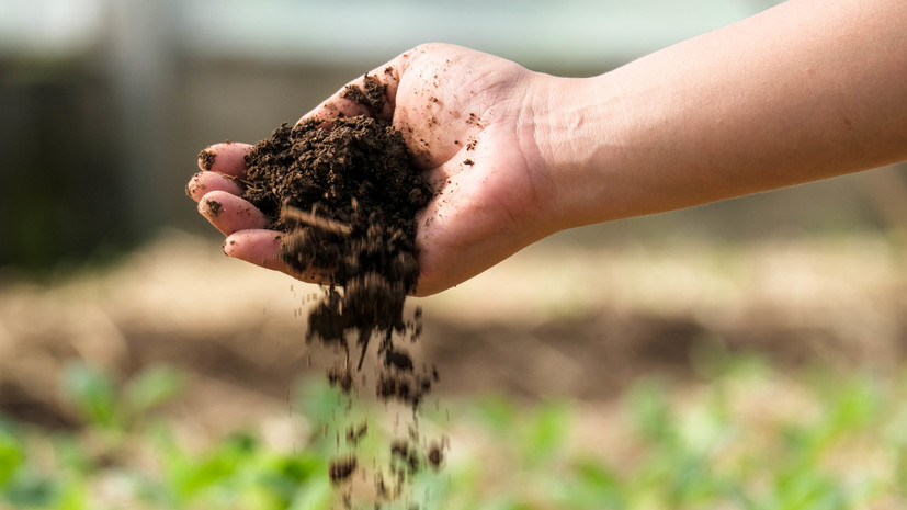 Садовод Туманов назвал компост лучшим удобрением