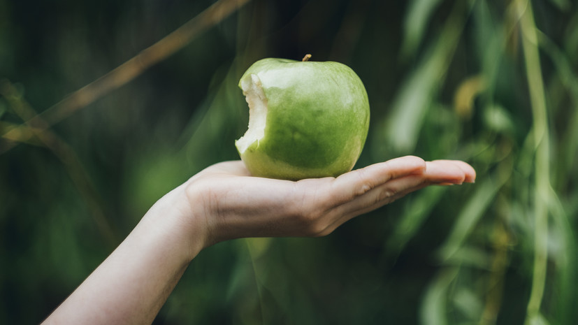 Диетолог Соломатина рассказала о снижении уровня холестерина благодаря употреблению яблок