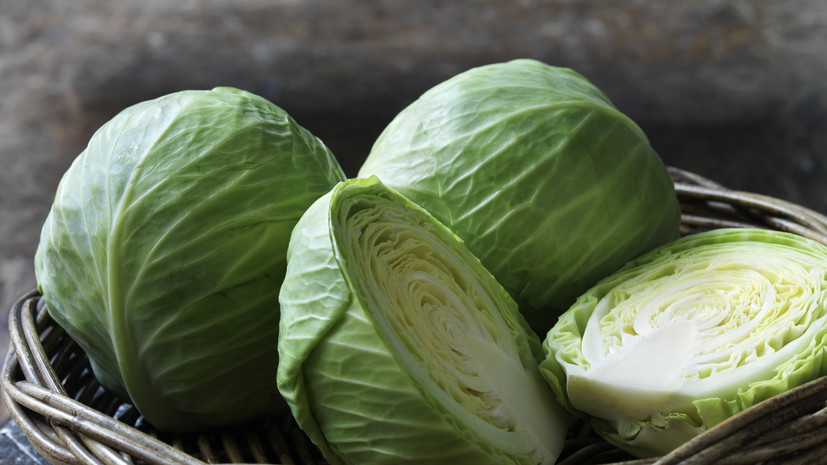 Гастроэнтеролог Яковлева рассказала, как выбрать качественную капусту