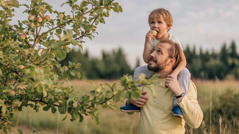 Диетолог Мойсенко предупредила о вреде от переедания яблок