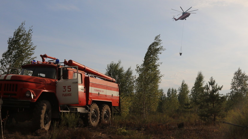 Верховой пожар локализован в Рязанской области