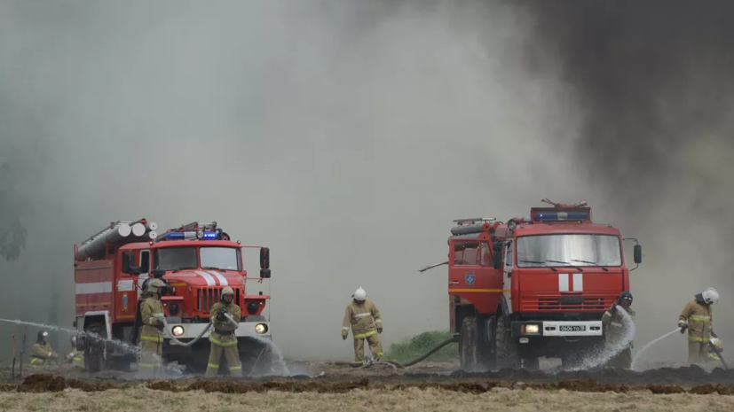 МЧС: площадь пожара в Нижегородской области превысила 4000 га