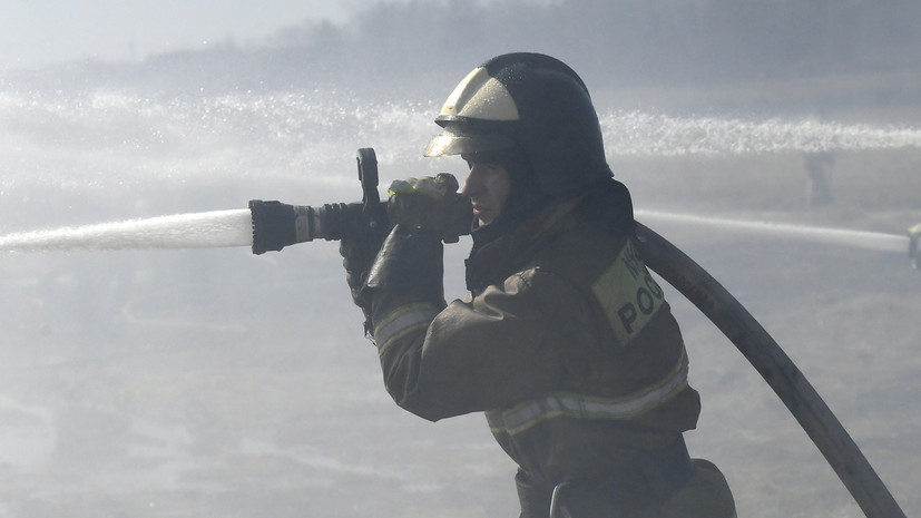 Площадь пожара в лесу в Каменском районе Ростовской области увеличилась до 32 га