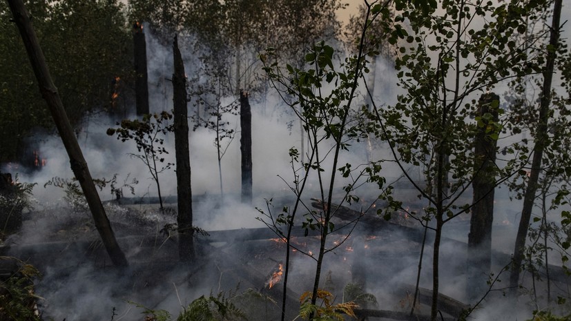 Площадь пожара в Ростовской области выросла до 50 га