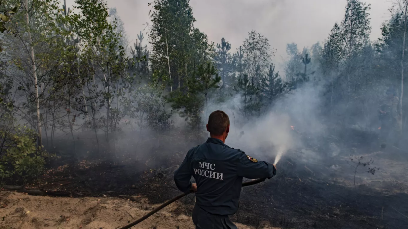 В России создана правительственная комиссия по ликвидации лесных пожаров