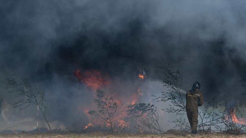 В Белоруссии из-за пожарной опасности ограничили посещение лесов