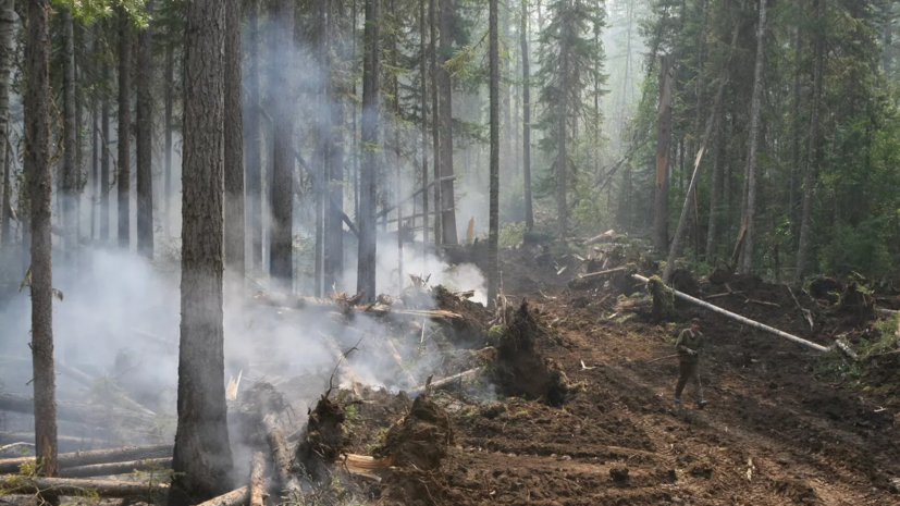 Пожар в Рязанской области тушат круглые сутки